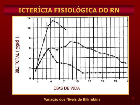 Ppt Icterícia Neonatal Powerpoint Presentation Free Download Id