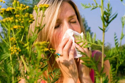 Seasonal Allergy Symptoms 6 Ways To Prevent Or Treat Them