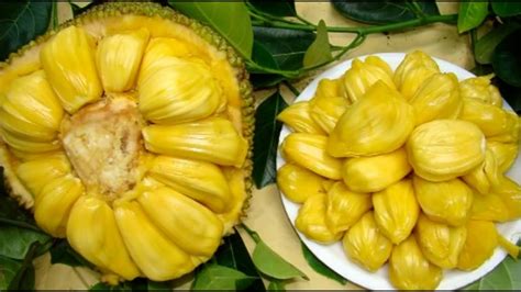 Jack Fruit Ii National Fruit Of Bangladesh Youtube