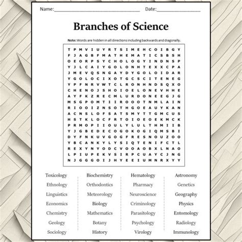 Branches Of Science Word Search Puzzle Worksheet Activity Printablebazaar