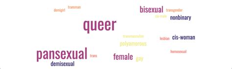 Figure E Labels Used By Participants To Describe Their Sexualities And Download Scientific