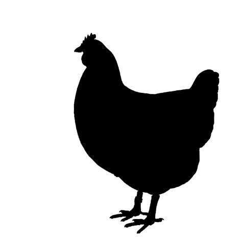 Chicken Silhouette Clipart Free Stock Photo Public Domain Pictures