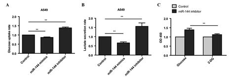 See customer reviews, validations & product citations. Downregulating microRNA-144 mediates a metabolic shift in ...
