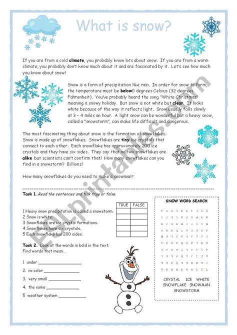 Snow Reader Activity Esl Worksheet By Estherlee76