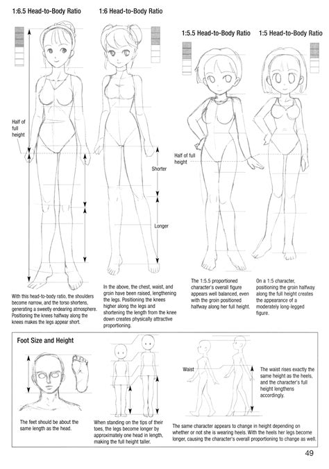 Head To Body Ratio Concepto De Dibujo Tutorial De Dibujo Como