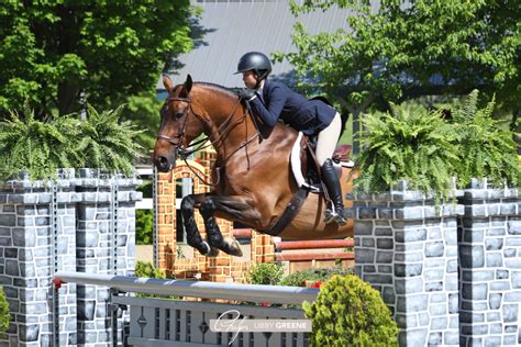 Gochman And Cawley Claim Equitation Wins At Kentucky Spring Horse Show
