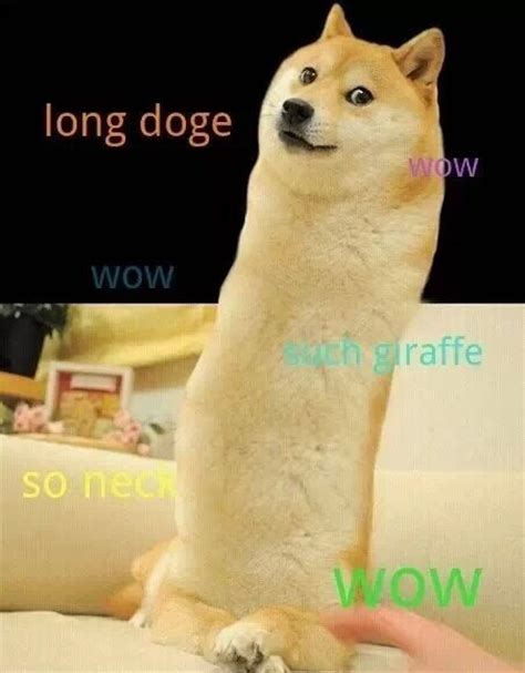I Think Im Going To Need A Separate Board For Doge Doge Meme