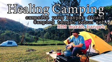 Camping Ground Tengah Kebun Teh Puncak Pinus Ecopark Bogor Campers Campervan Bogor Youtube
