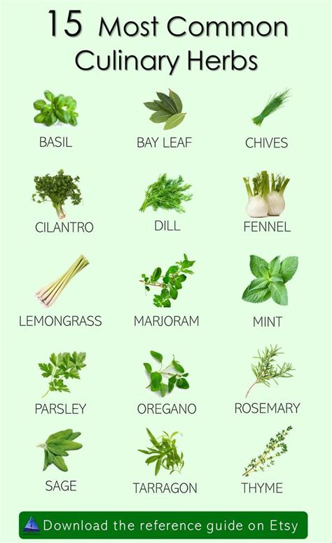 Culinary Herbs Reference Chart Printable Herb Guide Kitchen Etsy
