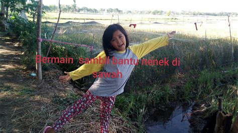 Jangan lupa tonton video tutorial lainya ya dan dukung channel ini agar semakin berkambang Bermain di sawah - YouTube