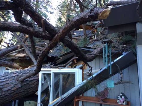 Photos Damaging Winds Topple Trees Cause Power Outages