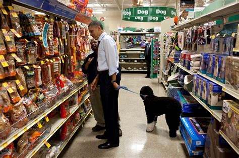 How A Pet Shop In Toronto Can Serve You