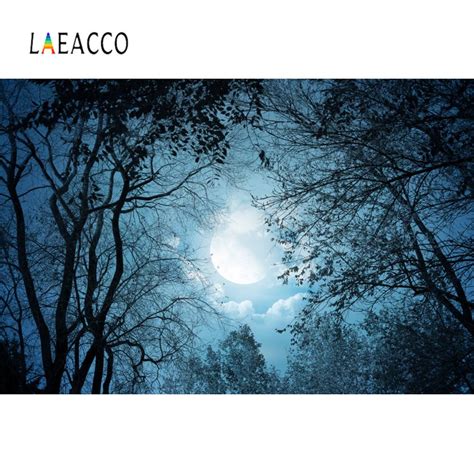 Laeacco การถ่ายภาพฉากหลัง Dark Night Tree Moon วอลล์เปเปอร์สยองขวัญ