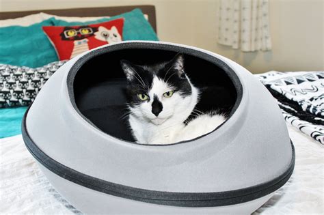 16 Modern Cat Houses That Will Actually Improve Your Decor