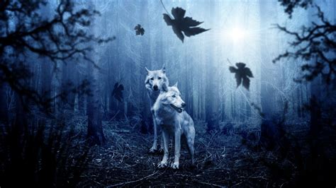 Wolf Wallpaper 4k Forest Dark Background Predator 2342