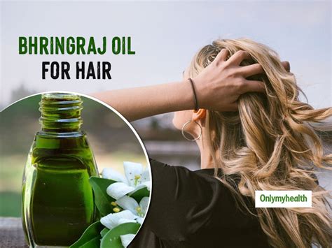 make bhringraj oil at home to treat dandruff and hair fall onlymyhealth