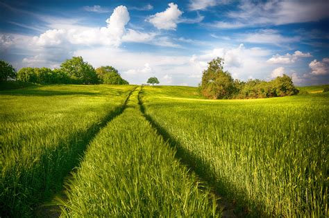 Clouds Field Sky Greenery Landscape Nature Hd Wallpaper Rare