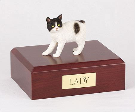 Cat urns come in a wide variety of materials, styles, and sizes. Manx, Black-White Cat Figurine Urn - Memorial Urns