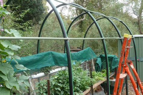 Every year i add shade cloth to my garden veggies that can't take the sun beating down on them all day. A Gardener's Musings: Building a shade house from poly-pipe