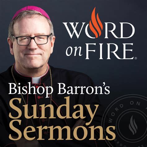The King Of All The World Bishop Barrons Sunday Sermons Catholic
