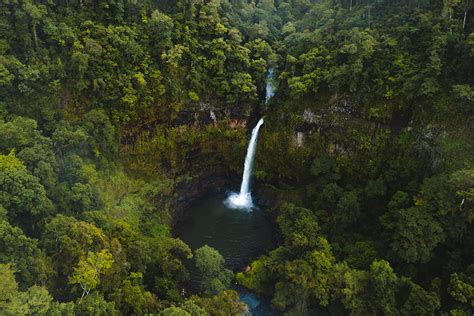 Best Waterfalls On The Atherton Tablelands Cairns And Great Barrier Reef