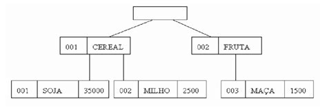 Lustra O De Um Banco De Dados Utilizando O Modelo Hier Rquico Download Scientific Diagram