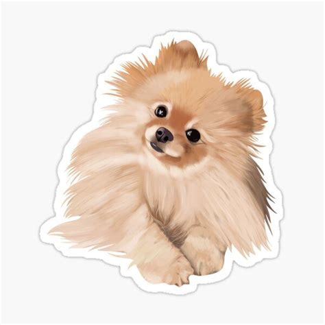 Pomeranian Sticker For Sale By Doggish Apparel Dog Stickers
