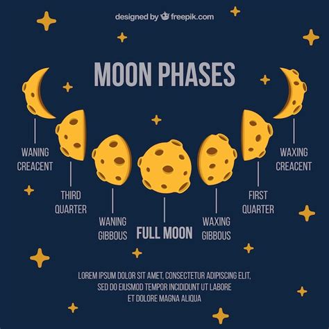 Descarga Gratis Fase Lunar Estrella De La Luna Y Media Luna Luna My