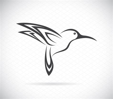 Vector Of Hummingbird Design Birds Outline Icons ~ Creative Market