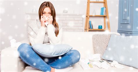Indoor Allergens And What You Can Do About Them Osf Healthcare