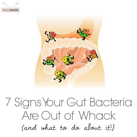 7 Signs Your Gut Bacteria Are Out Of Whack Plexus Products Gut