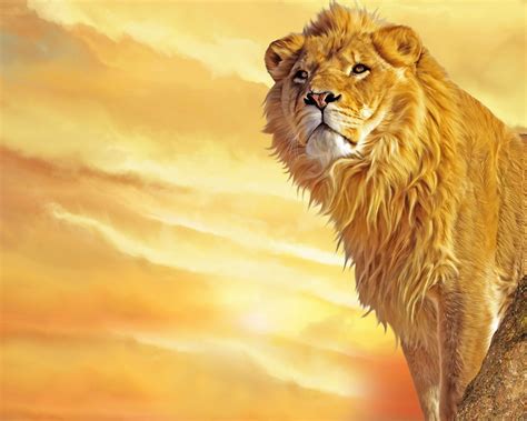 41 Cool Lion Wallpapers On Wallpapersafari