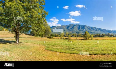 Summer Rural Landscape Cades Cove Great Smoky Mountains National Park