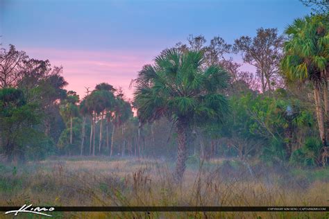 Foggy Florida Morning Landscape At Riverbend Park Hdr Photography By