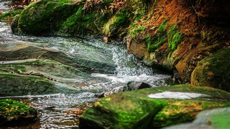 무료 이미지 경치 나무 자연 숲 잔디 록 폭포 잎 강 골짜기 이끼 흐름 시내 녹색 가을 빠른