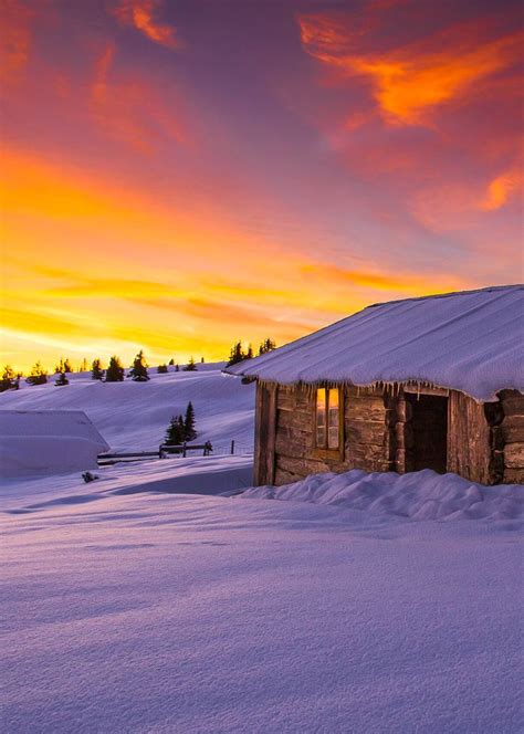 Djferreira224 Winter Morning In Norway By Jørn Allan Pedersen