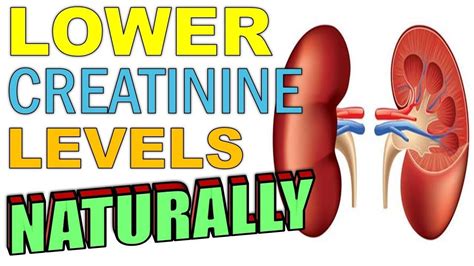 16 Easy Ways To Save Your Kidneys And Lower Creatinine Levels Naturally