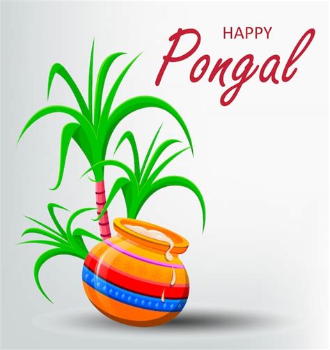 Pongal Wishes / Pongal Wishes Special Greetings With Name First Wishes ...