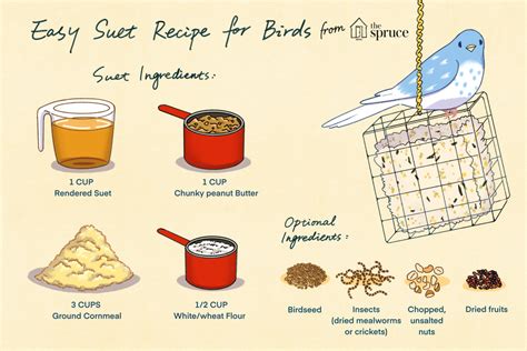 This is the binder that keeps seeds together. Simple Homemade Suet Recipe for Birds