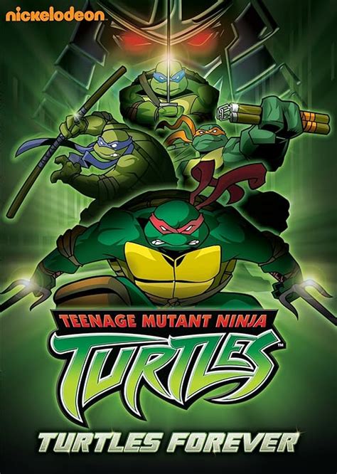 Teenage Mutant Ninja Turtles Turtles Forever Donatello Leonardo