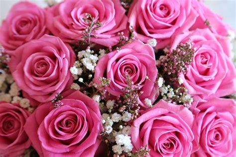 Free Picture Anniversary Pastel Pinkish Wedding Bouquet Wedding