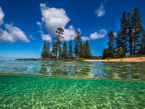 Norfolk island is an island in melanesia, administered as part of new south wales in australia. En Plein Mellissa Read-Devine 2020 | Norfolk Island Travel ...