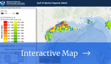 Gulf Of Mexico Hypoxia Watch National Centers For Environmental