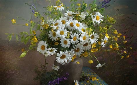 Chamomile Flower Bouquet Wallpapers Wallpaper Cave