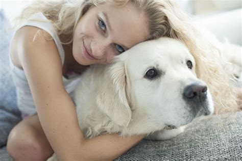 Dogs Have Human Like Sense Of Morality Research Shows