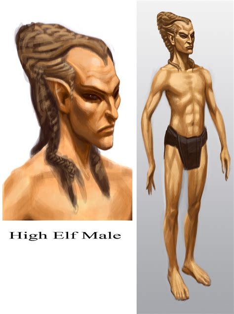 The Elder Scrolls V Skyrim High Elf Male