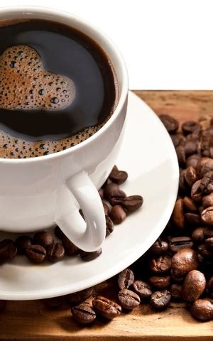 asal muasal kopi arabica  robusta ditanam  indonesia
