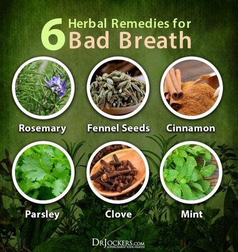 8 natural strategies to improve bad breath in 2020 bad breath remedy