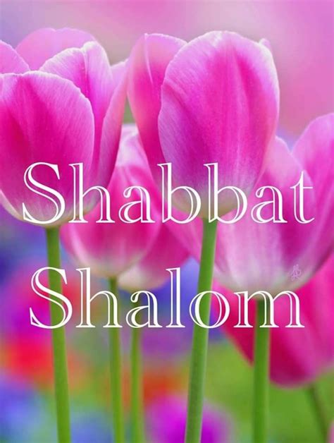 Shabbat Shalom Happy Sabbath Quotes Happy Sabbath Images Good