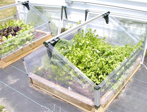 Double Cold Frame Extend Your Growing Season Advance Greenhouses